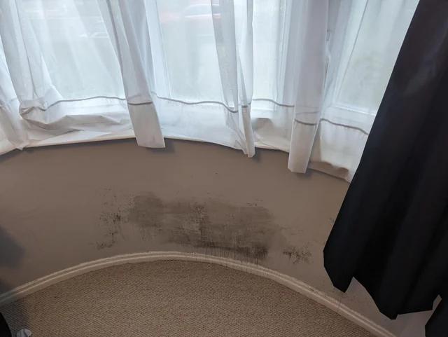 Cold uninsulated bay window with condensation and mould on internal walls